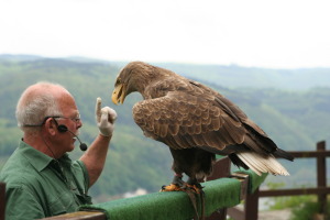 Maiausfahrt Entenstammtisch Rhein-Lahn 2010