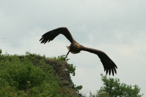 Maiausfahrt Entenstammtisch Rhein-Lahn 2010