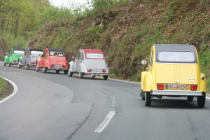 Maiausfahrt Entenstammtisch Rhein-Lahn 2010